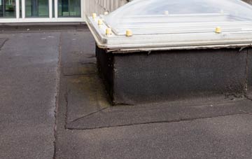 disadvantages of Trawsfynydd flat roofs