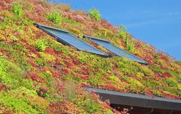 Trawsfynydd living roof systems