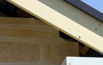 soffit repair Trawsfynydd